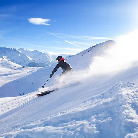 In Wald Near Krimml Waterfalls *