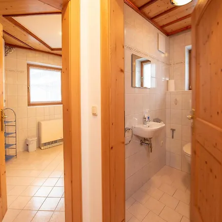 In Wald Near Krimml Waterfalls