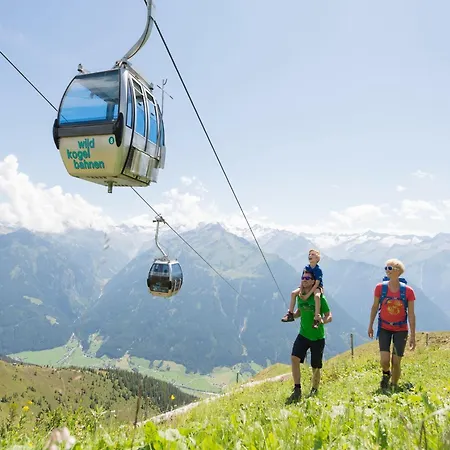 Daire Johann In With Balcony Wald im Pinzgau