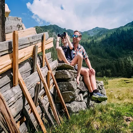 In Wald Near Krimml Waterfalls Вальд (Пинцгау)